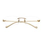 Kính Mắt Cận Cartier Panthère De CT0061O 002 Trong Suốt